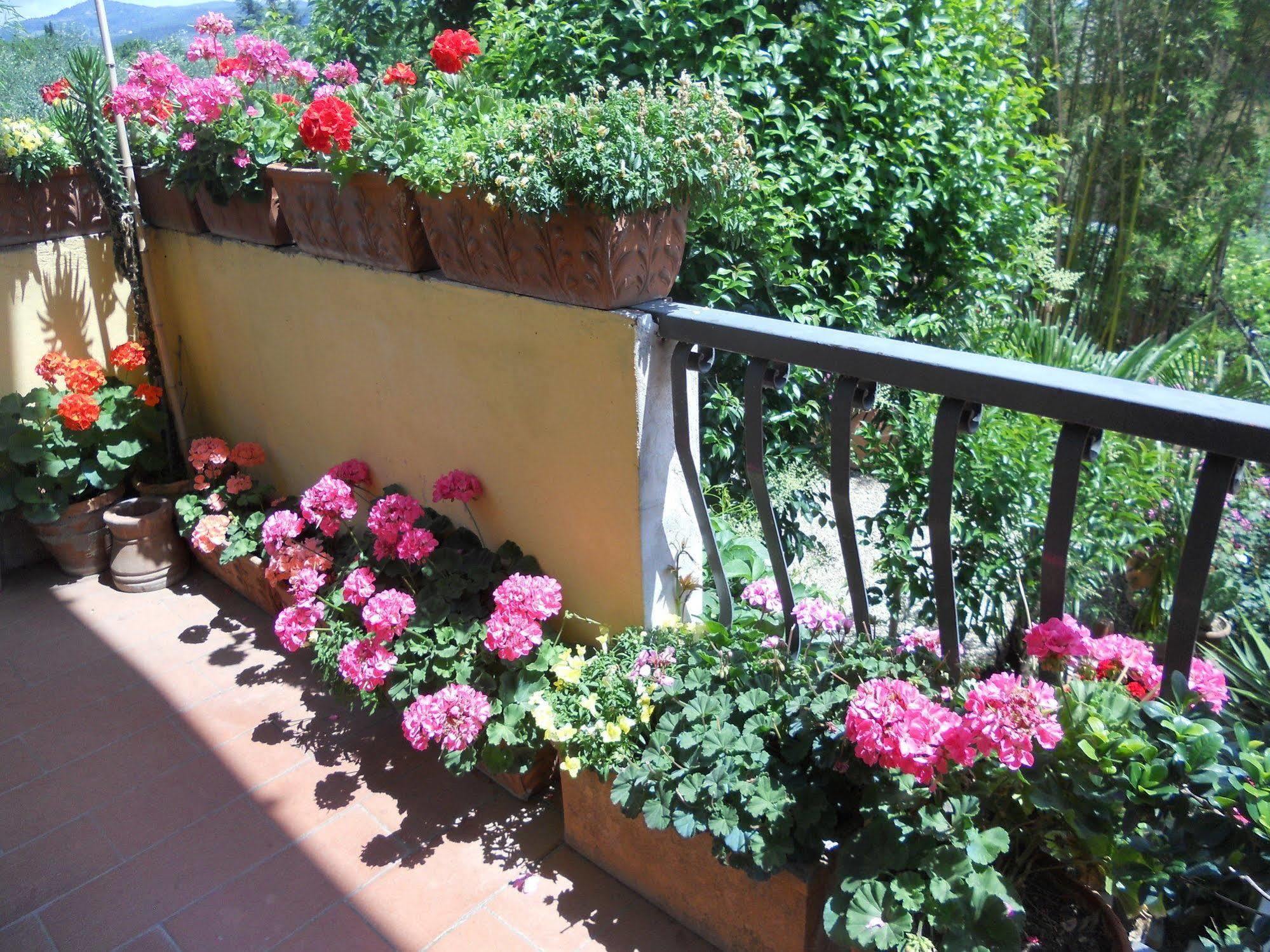 Agriturismo Le Macine Флоренция Экстерьер фото